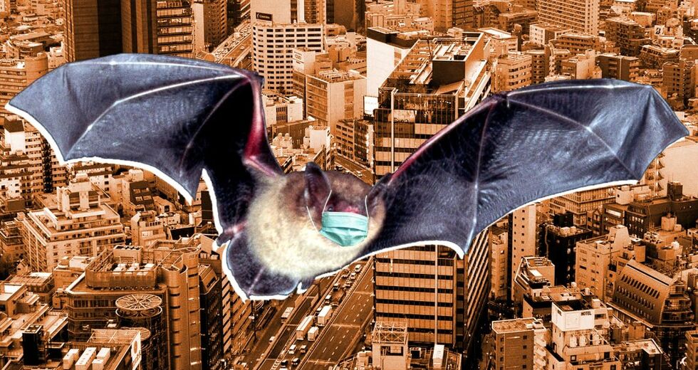 Το «γενετικό άλμα» του κορονοϊού
