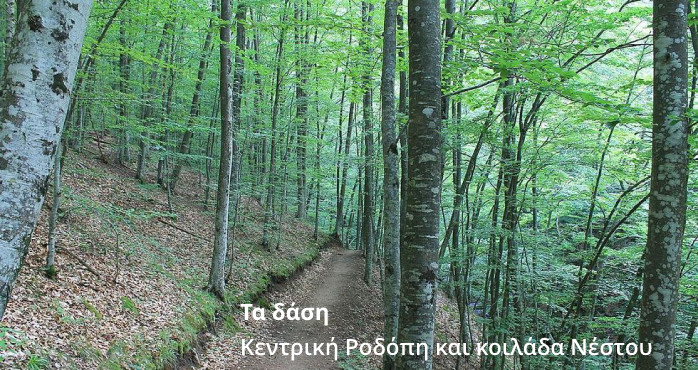 Η βιοποικιλότητα σε αγαπημένες μας στιγμές