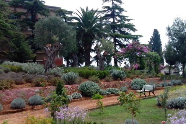 Οι ρίζες των φυτών της Βίβλου φτάνουν στο σήμερα