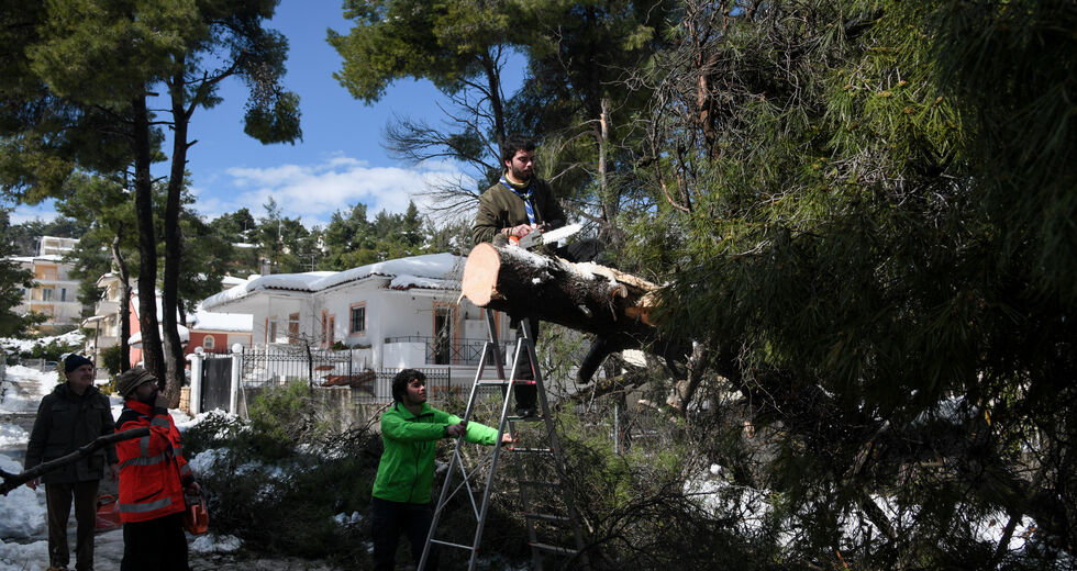 Τραγική διαπίστωση: «Γυρίσαμε πολλές δεκαετίες πίσω»
