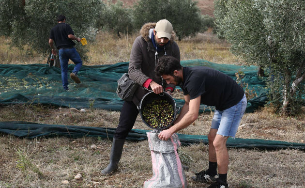 Γνωριμία με τα «χωράφια της αλληλεγγύης»