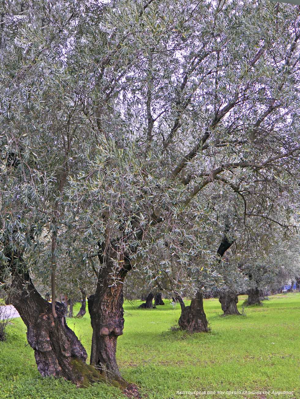 Σήμα κινδύνου από τους Δελφούς