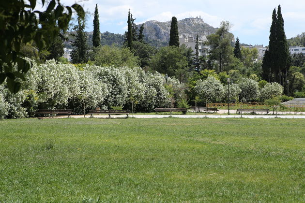 Η ζωή επέστρεψε στο Πεδίον του Αρεως