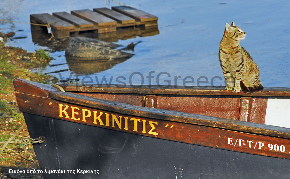 Η ζωή σε κίνηση…