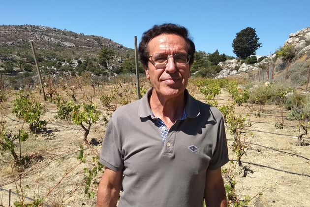 «Μάχες» αγροτών με κτηνοτρόφους στα βουνά της Κρήτης