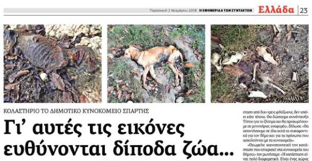 Κάνουν ότι δεν καταλαβαίνουν τους νόμους για τα αδέσποτα