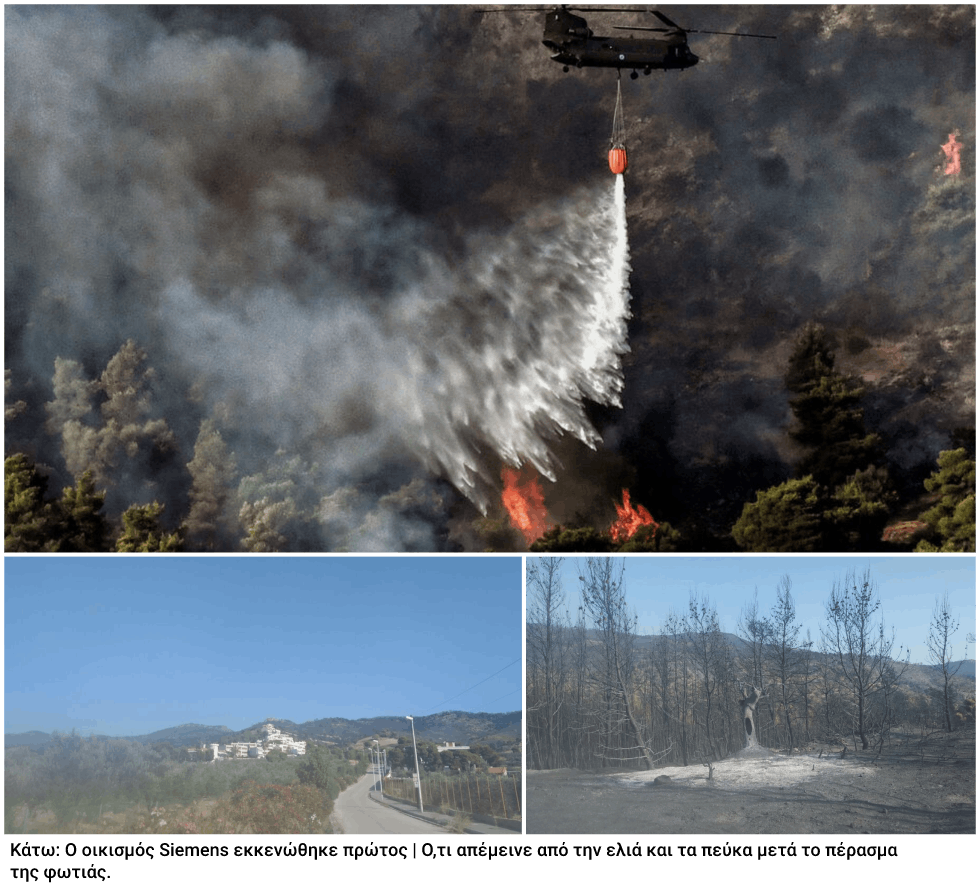 Απόγνωση με φόντο την καμένη γη και αγωνία για την επόμενη μέρα