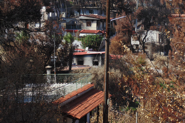 Μάτι: Επιβίωση, δικαιοσύνη, αναγέννηση