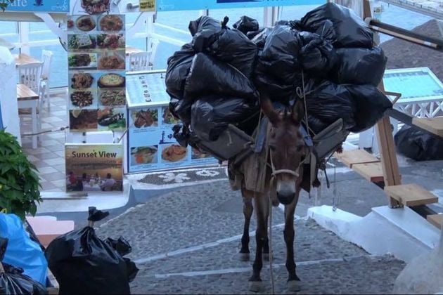 Τέλος στη γαϊδουρινή υπομονή