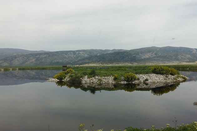 Η αναγέννηση της λίμνης