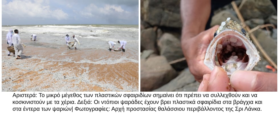Η Σρι Λάνκα αντιμέτωπη με περιβαλλοντική καταστροφή