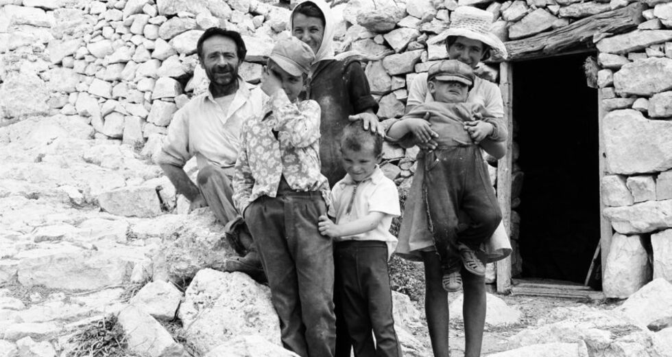 Τραγικό love story με Ανταμ Ντράιβερ και Μαριόν Κοτιγιάρ