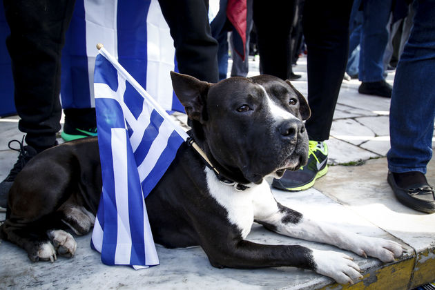 Το έθνος ως κόμμα, το κόμμα ως έθνος
