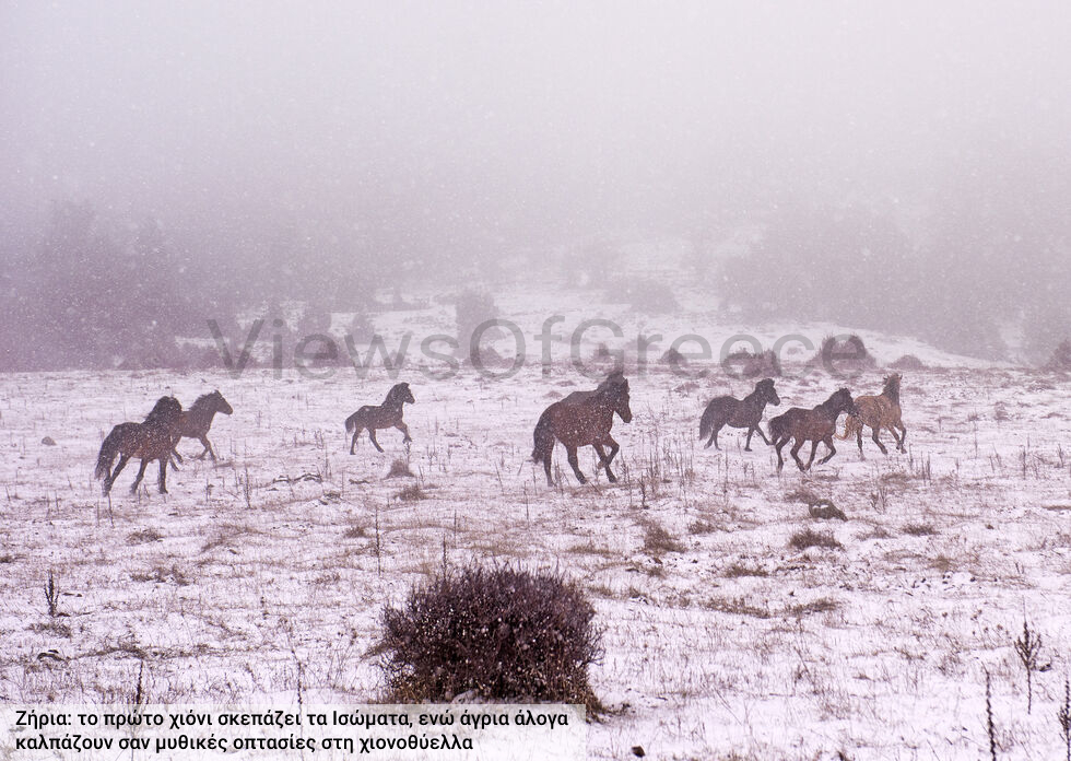 Το πρώτο χιόνι στα ομορφότερα ορεινά οικοσυστήματα