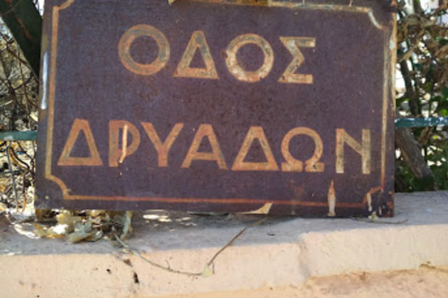 Μέσα απ’ τις στάχτες άνθησε η ανθρωπιά
