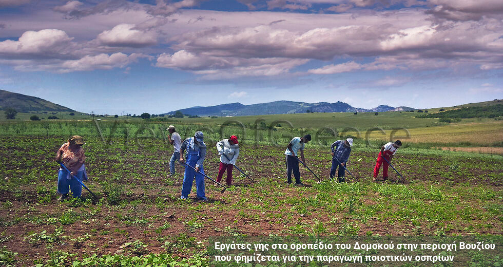 Δομοκός… Θαυμακός!