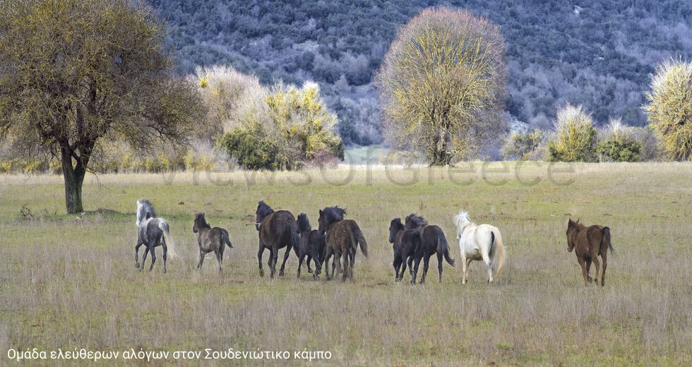 Αρχοντιά και γοητεία σε τρία χωριά