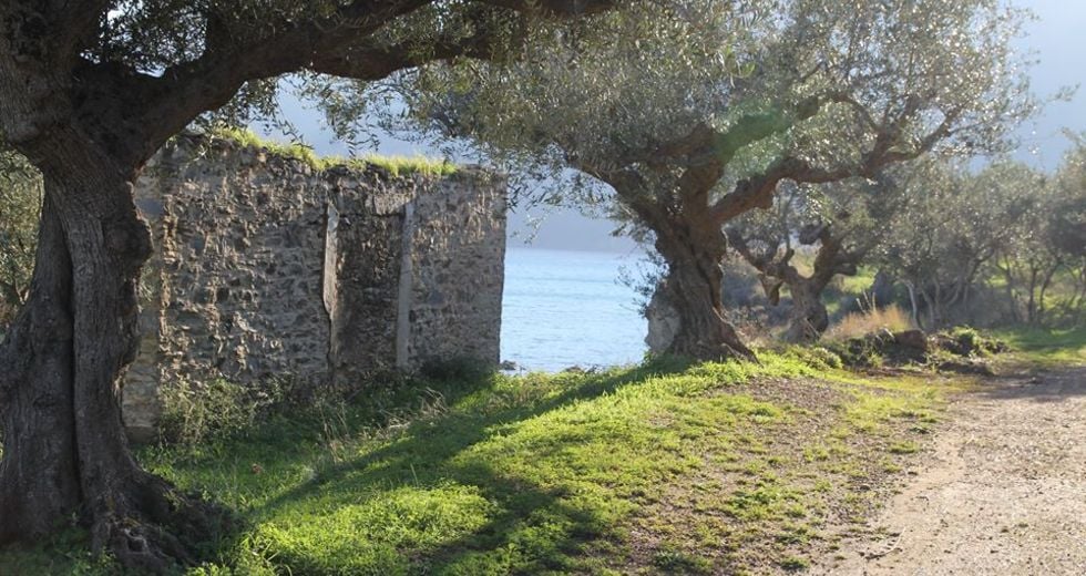«Να ξανασυνδεθούμε με τον παραγωγό και τη φύση»