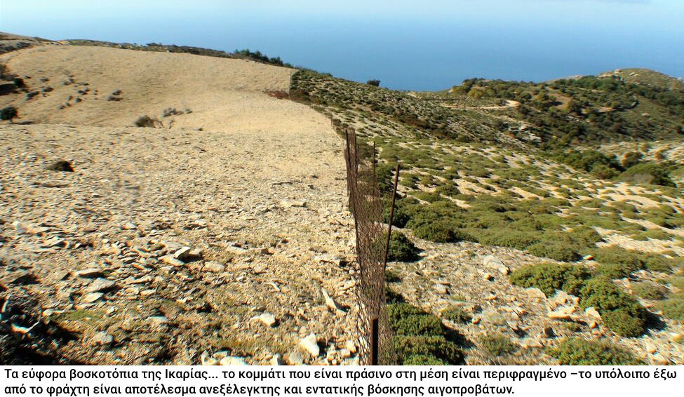 Η απαξίωση των ελληνικών νησιών