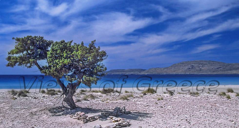 Το Ελαφονήσι ένας εξωτικός παράδεισος στην αγκαλιά του Λακωνικού κόλπου