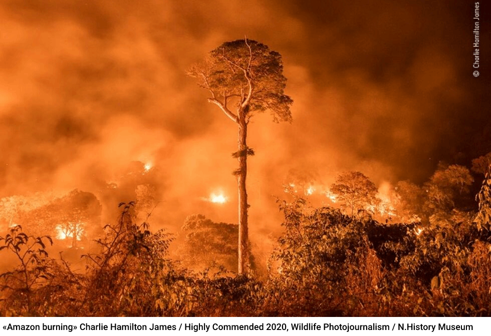 Της φύσης τα καλύτερα, των ανθρώπων τα χειρότερα!