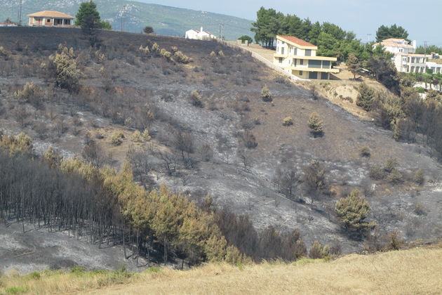 Ακολουθώντας τα χνάρια της φωτιάς στο… θέατρο της εξαφάνισης
