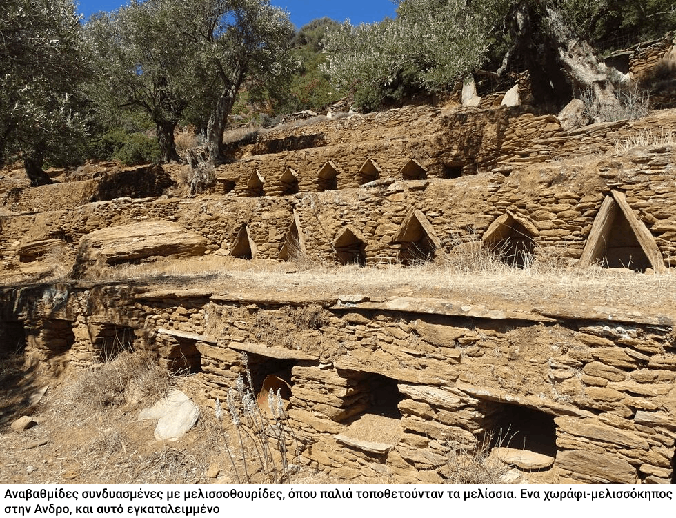 Aσπίδα για το μέλλον του Αιγαίου