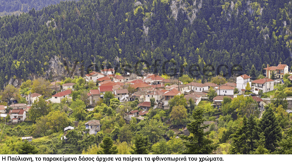Ο οικολογικός παράδεισος που αξίζει να προστατεύσουμε