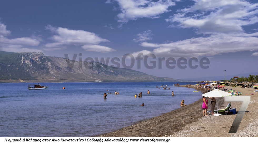 Και οι επτά είναι υπέροχες!