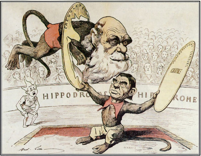 Εξελικτικές παρανοήσεις