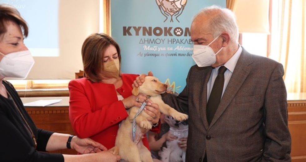 Καμπάνια ενημέρωσης και ευαισθητοποίησης από τον Δήμο Ηρακλείου για τα αδέσποτα