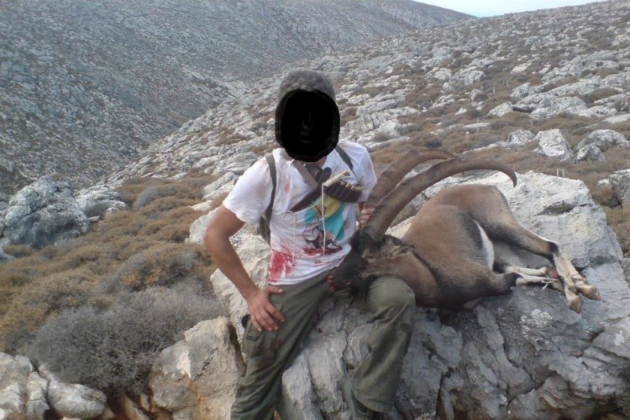 Αναστάτωση για τα νεκρά «αγρίμια» στην Κρήτη