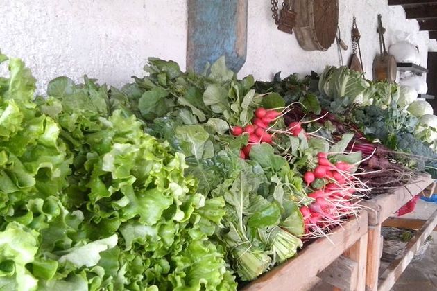 Ενα οικολογικό αγρόκτημα «Διαμάντι»