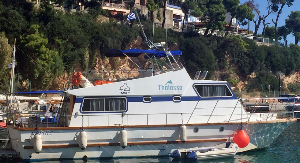 «Η κατάρα του ψαριού»