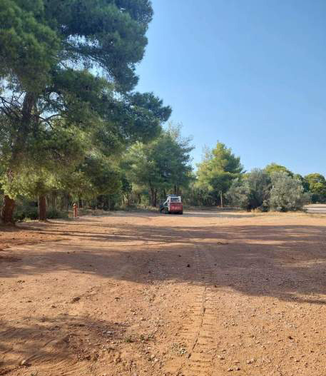Ερώτηση στη Βουλή για την αποψίλωση στο Αλσος Συγγρού