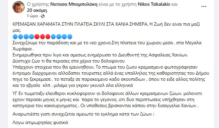Χανιά: Καταγγελία για θανάτωση σκύλου και απόπειρα συγκάλυψης