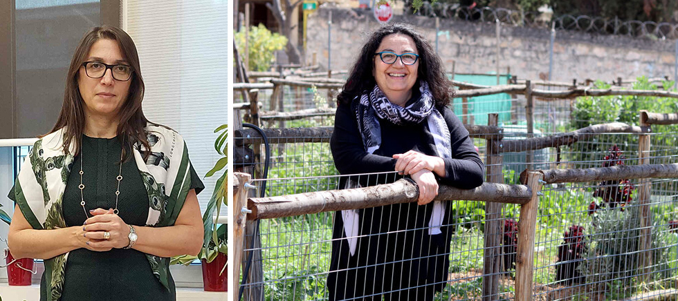 Τρώμε ό,τι μας επιτρέπει το πορτοφόλι μας