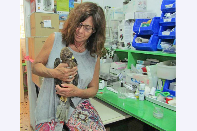 ΑΝΙΜΑ σημαίνει ζωντανή ψυχή