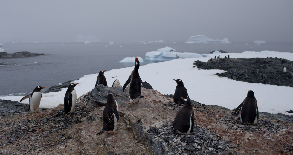 Στο «κόκκινο» το θερμόμετρο το 2023: Χρονιά με τα περισσότερα ρεκόρ υψηλών θερμοκρασιών