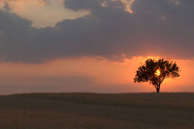 Η πολιτιστική ατζέντα της ημέρας – 15.10.2015