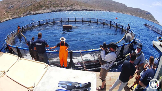 «Παρατηρητήριο» ιχθυοκαλλιεργειών από το Αρχιπέλαγος