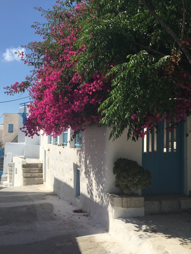 Το πείραμα της Αστυπάλαιας
