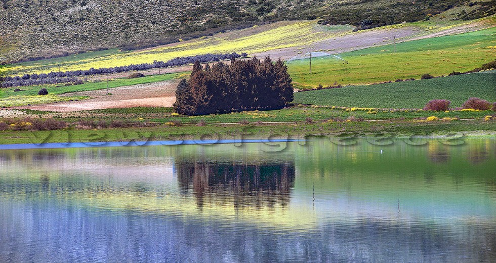 Προτάσεις για οικονομικές μονοήμερες εξορμήσεις στην υπέροχη, άγνωστη Βοιωτία