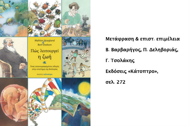 6 καλοκαιρινές βιβλιο-αποδράσεις