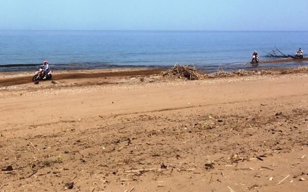 Γκαζιές και ροδιές πάνω στις φωλιές των Καρέτα Καρέτα!