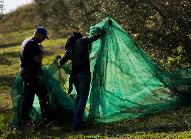 Οι επιπτώσεις της κλιματικής αλλαγής στις χώρες της Ευρώπης