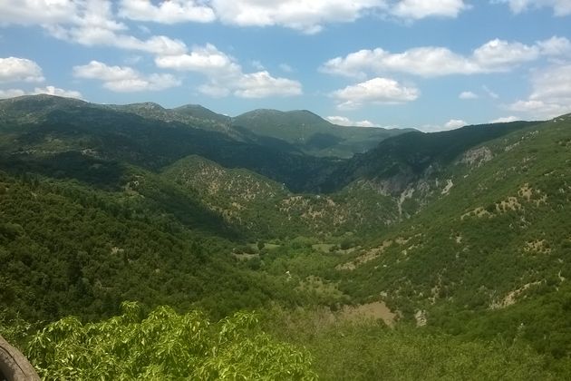 Τα δάση μάς προστατεύουν αλλά εμείς τα «σκοτώνουμε»