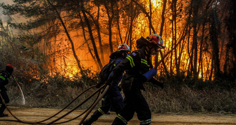 Εφιαλτική νύχτα στο δάσος της Στροφυλιάς