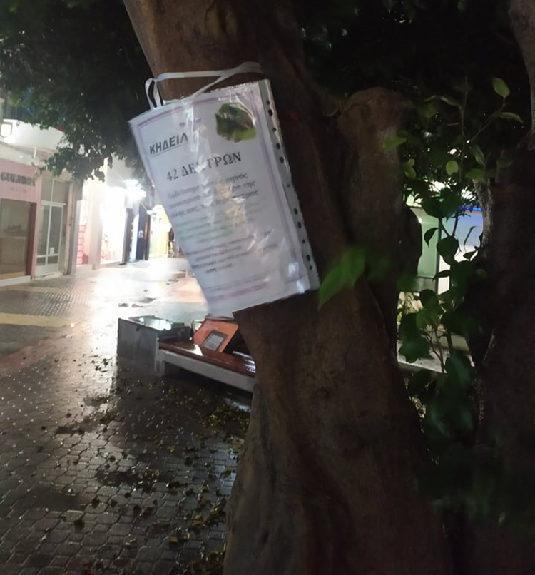 Διαμαρτύρονται οι δημότες της Ιεράπετρας για την κοπή δεκάδων δέντρων