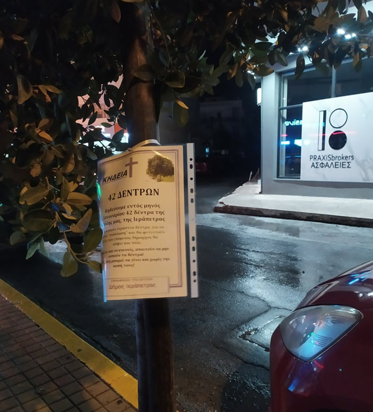Διαμαρτύρονται οι δημότες της Ιεράπετρας για την κοπή δεκάδων δέντρων